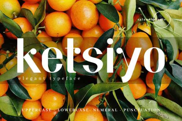 Ketsiyo Font for Bold Web Design